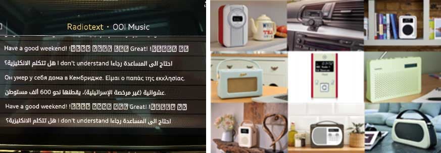 دول ومؤسسات أعضاء في برنامج الرقمنة
